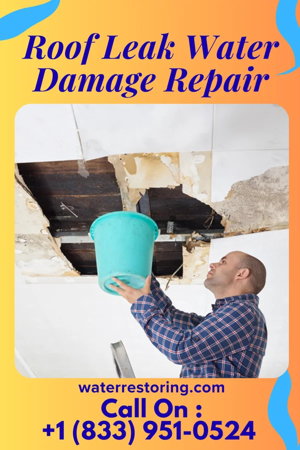 Roof Leak Water Damage Repair in North Puyallup, WA